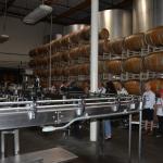 SanAntonio_0153 (June 11, 2016)